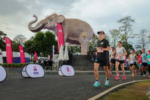 BIB: 
                            <button type="button" onclick="openModal(26528544)" class="btn btn-primary btn-sm float-right btn-popup" data-toggle="modal" data-target=".modal-high-quality">
                        <i class="fas fa-shopping-cart"></i> Add to Cart
                    </button>
                                            <button type="button" onclick="isThisMe(26528544, true)" class="btn btn-success btn-sm float-right btn-popup btn-isme hidden" data-toggle="tooltip" data-placement="bottom" title="นี่คือรูปของคุณใช่ไหม คลิกที่นี่เพื่อเอาเข้าอัลบั้ม">
                        <i class="fas fa-plus"></i> Add to album
                    </button>
                    <button type="button" onclick="isThisMe(26528544, false)" class="btn btn-warning btn-sm float-right btn-popup btn-isnotme hidden">
                        <i class="fas fa-ban"></i> Remove from album
                    </button>